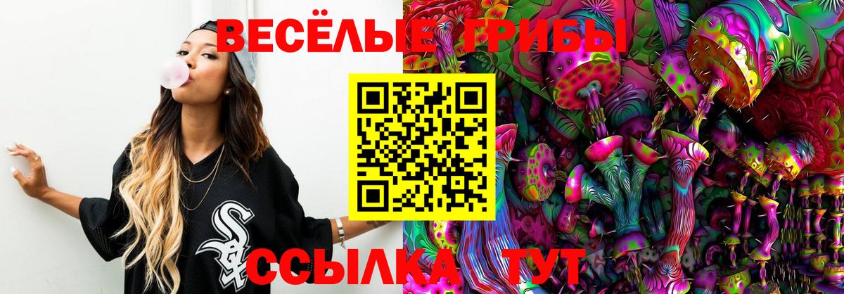 Глазов  цены наркотик  Вход с VPN  Псилоцибиновые грибы GOLDEN TEACHER  Галлюциногенные грибы мицелий 